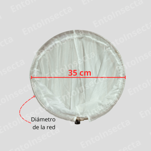 Red Entomológica Telescópica de Aluminio Profesional - Imagen 4