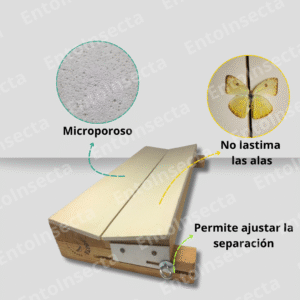 extensor de alas para lepidopteras