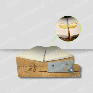 extensor de alas para lepidopteras