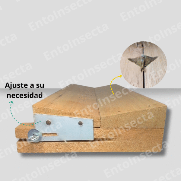 extensor de alas