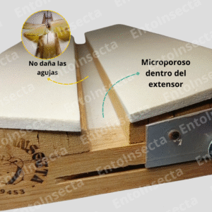 extensores de alas
