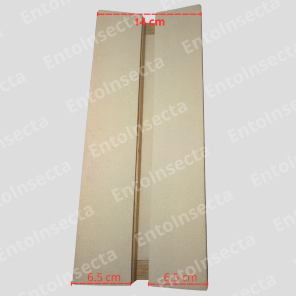 extensores de alas