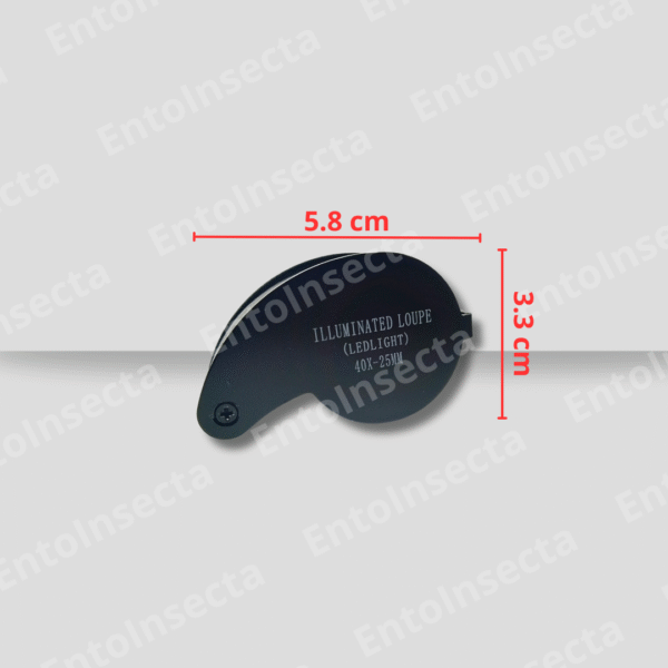 Lupa 40x-25mm con Luz led doble + protector acero inoxidable + estuche - Imagen 3