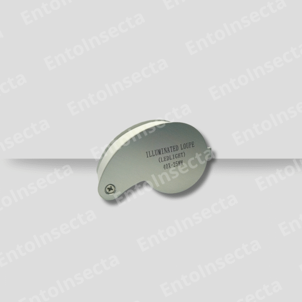Lupa 40x-25mm con Luz led doble + protector acero inoxidable + estuche - Imagen 9