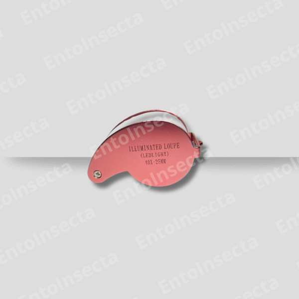 Lupa 40x-25mm con Luz led doble + protector acero inoxidable + estuche - Imagen 8