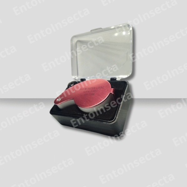 Lupa 40x-25mm con Luz led doble + protector acero inoxidable + estuche - Imagen 5