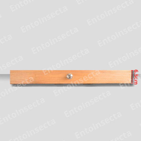 Caja entomológica cornell profesional - Imagen 4