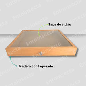 Caja entomológica cornell profesional