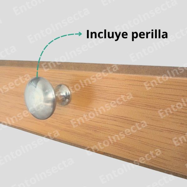 Caja entomológica cornell profesional - Imagen 2