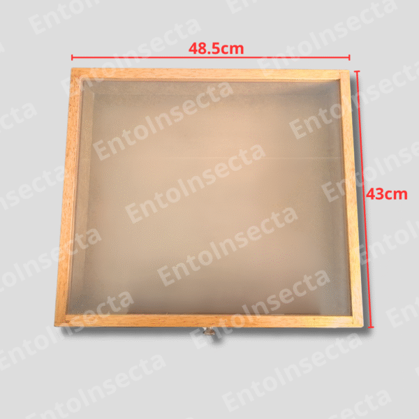 Caja entomológica cornell profesional - Imagen 3