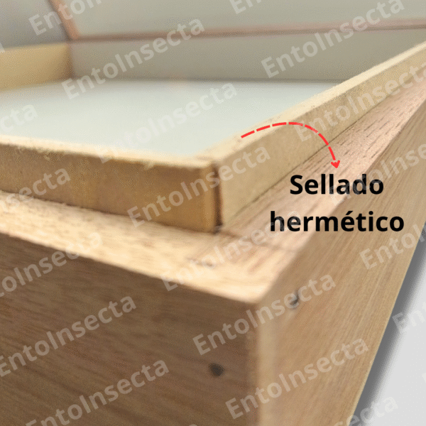 Caja entomología cornell para estudiantes - Imagen 4