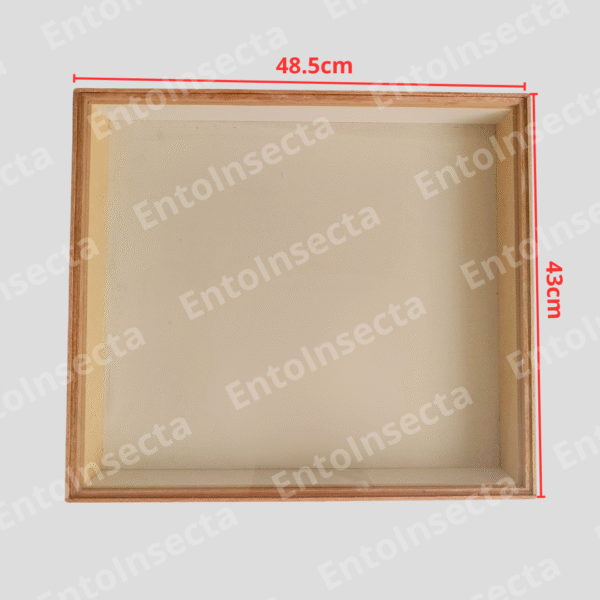 Caja entomología cornell para estudiantes - Imagen 2