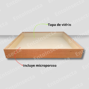 Caja entomología cornell para estudiantes